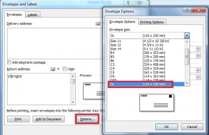 options- dl